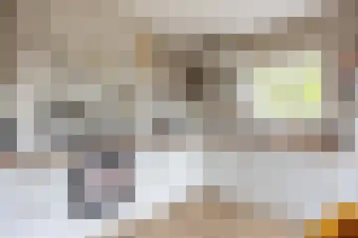 Langeweg 1 Grootegast thumbnail 36