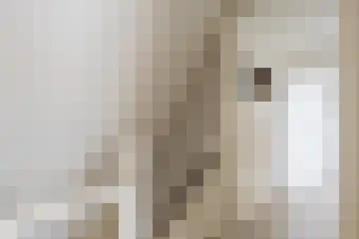 Langeweg 1 Grootegast thumbnail 54