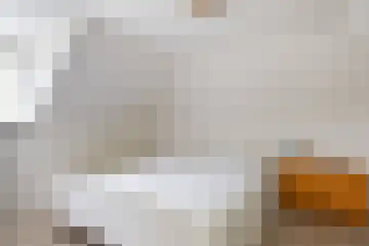 Langeweg 1 Grootegast thumbnail 59