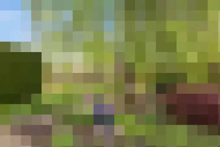 Langeweg 1 Grootegast thumbnail 65