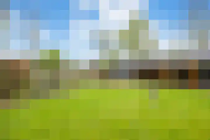 Langeweg 1 Grootegast thumbnail 67