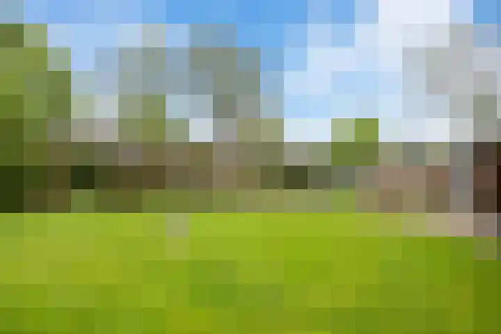 Langeweg 1 Grootegast thumbnail 68