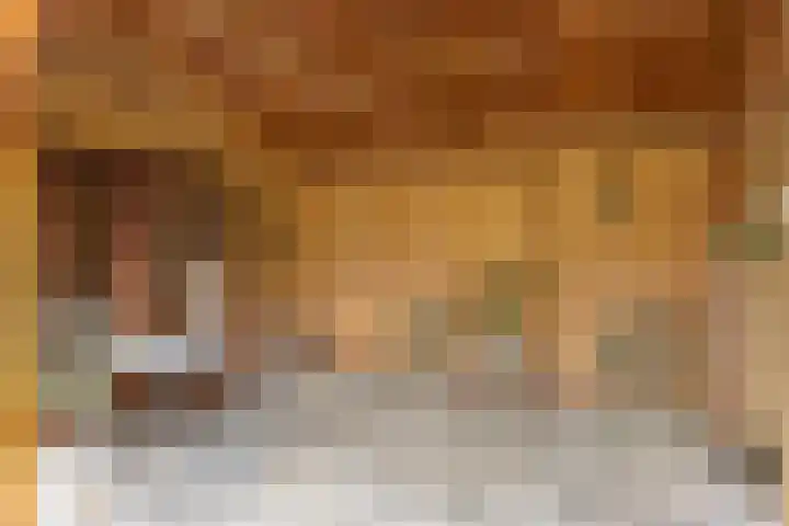 Langeweg 1 Grootegast thumbnail 70