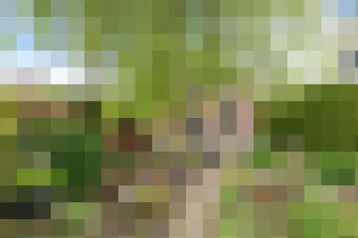 Langeweg 1 Grootegast thumbnail 78