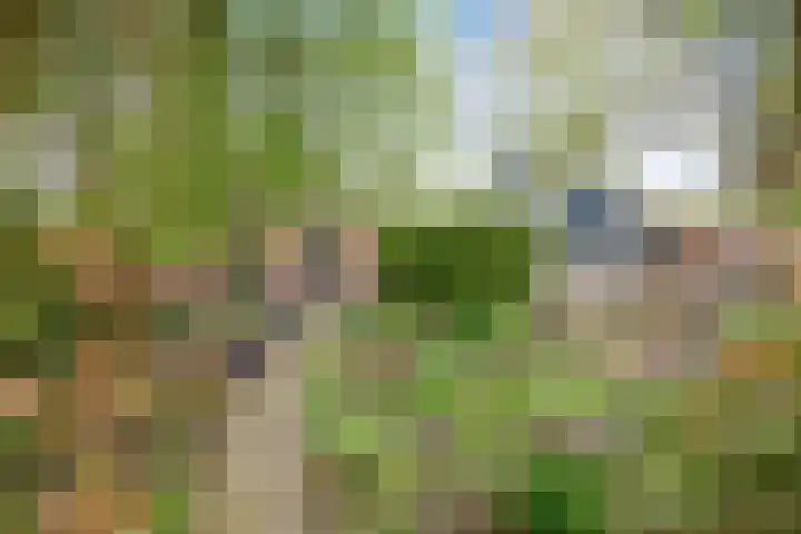 Langeweg 1 Grootegast thumbnail 79