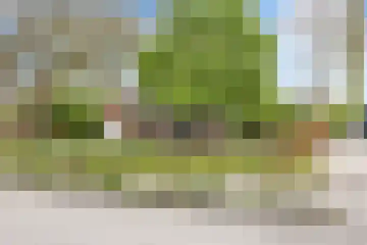Langeweg 1 Grootegast thumbnail 8
