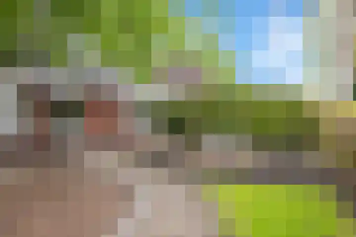 Langeweg 1 Grootegast thumbnail 85