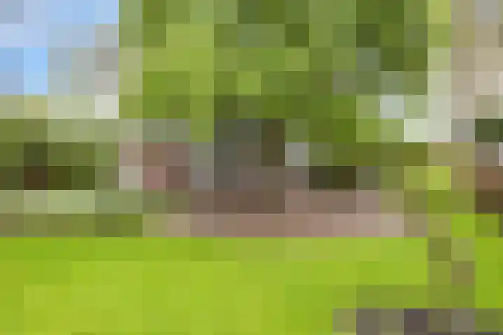 Langeweg 1 Grootegast thumbnail 86