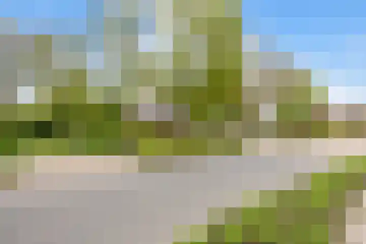 Langeweg 1 Grootegast thumbnail 87