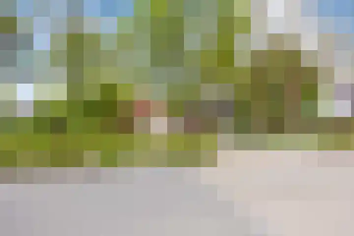 Langeweg 1 Grootegast thumbnail 88