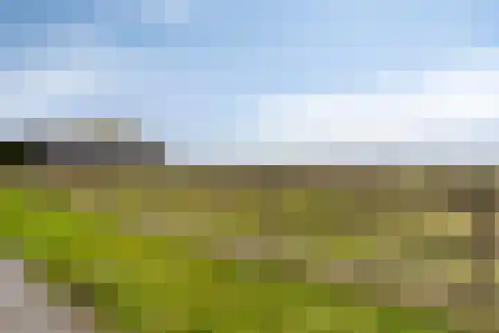 Langeweg 1 Oostwold thumbnail 14