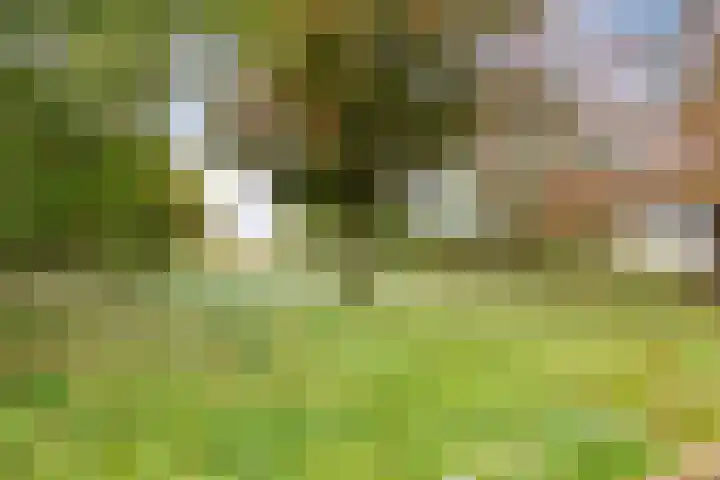 Langeweg 1 Oostwold thumbnail 18