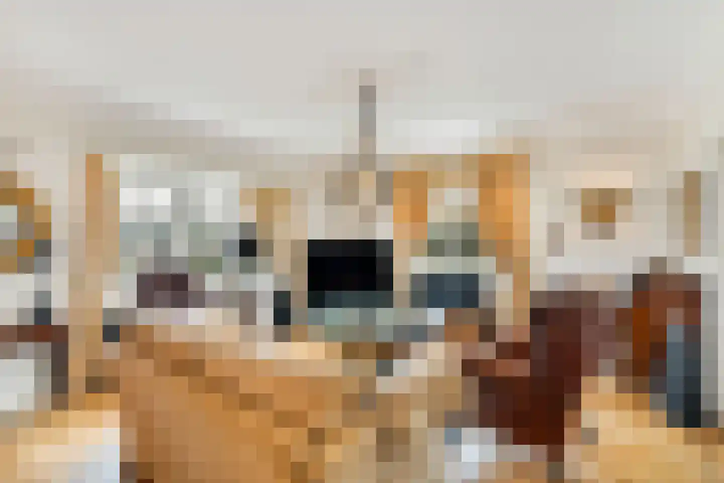 Langeweg 105 Sommelsdijk thumbnail 14