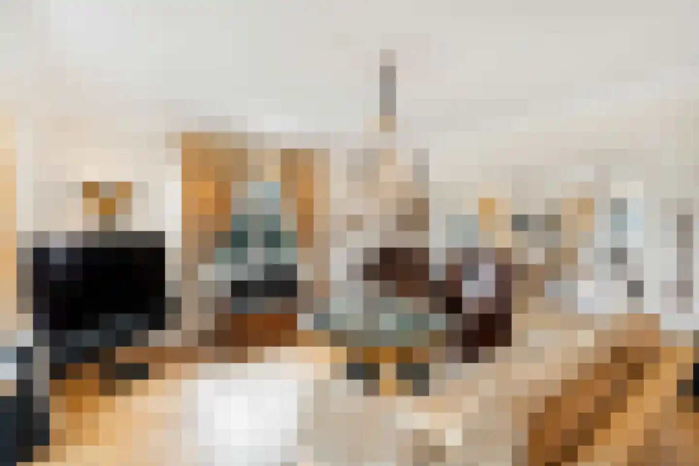 Langeweg 105 Sommelsdijk thumbnail 15