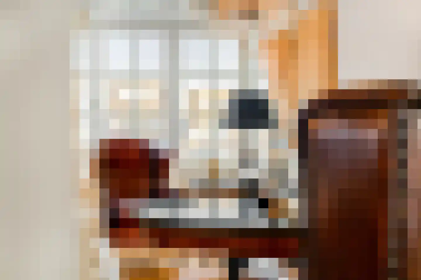 Langeweg 105 Sommelsdijk thumbnail 20