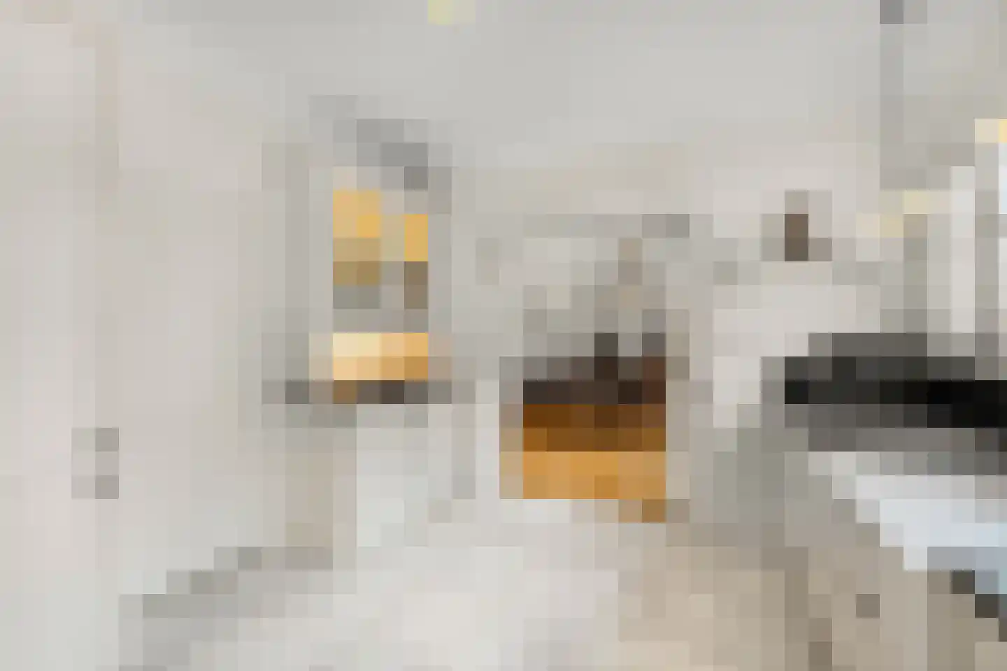 Langeweg 105 Sommelsdijk thumbnail 21