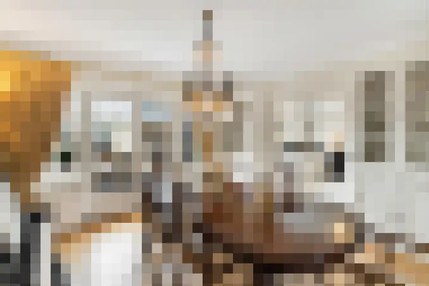 Langeweg 105 Sommelsdijk thumbnail 26