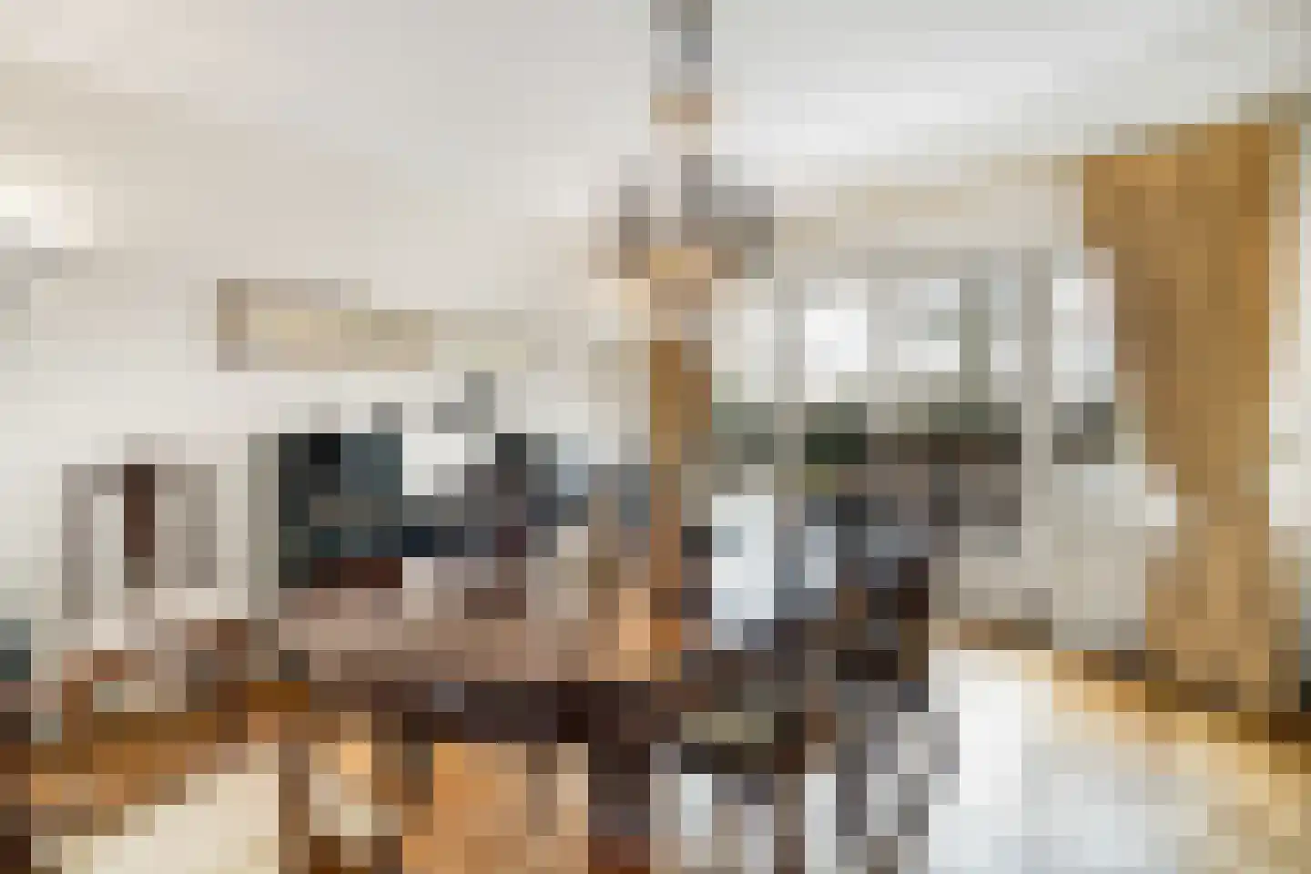 Langeweg 105 Sommelsdijk thumbnail 27