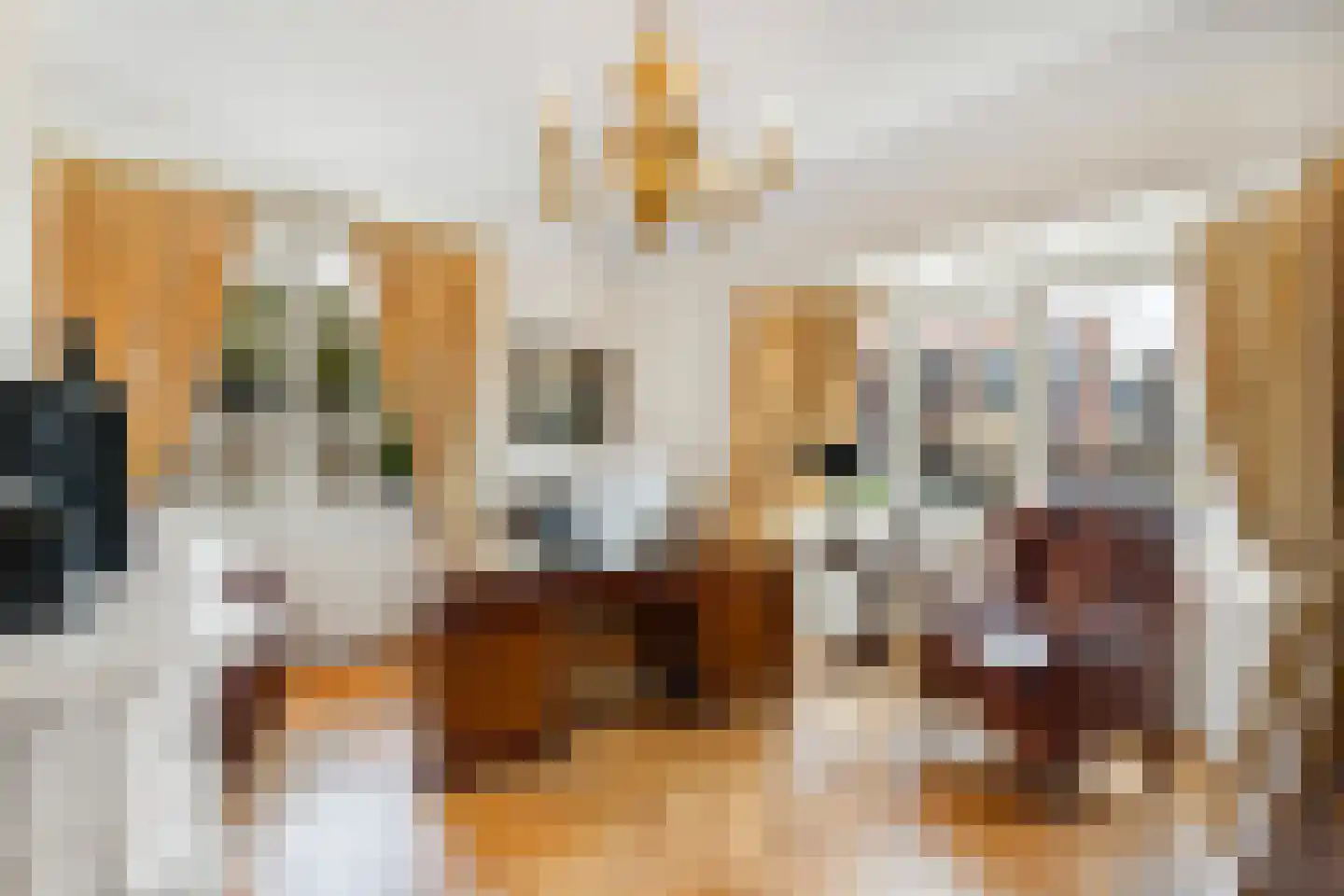 Langeweg 105 Sommelsdijk thumbnail 31