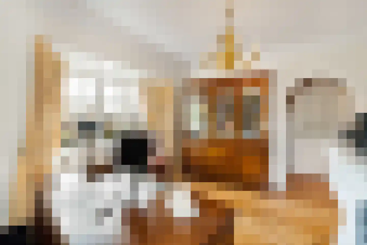 Langeweg 105 Sommelsdijk thumbnail 32