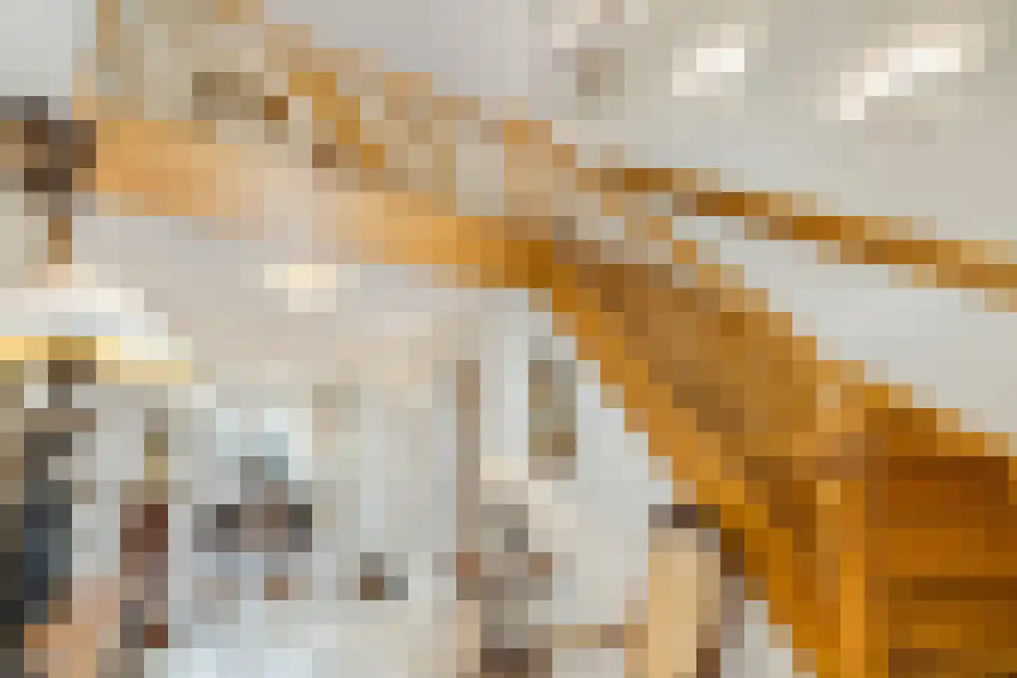 Langeweg 105 Sommelsdijk thumbnail 35