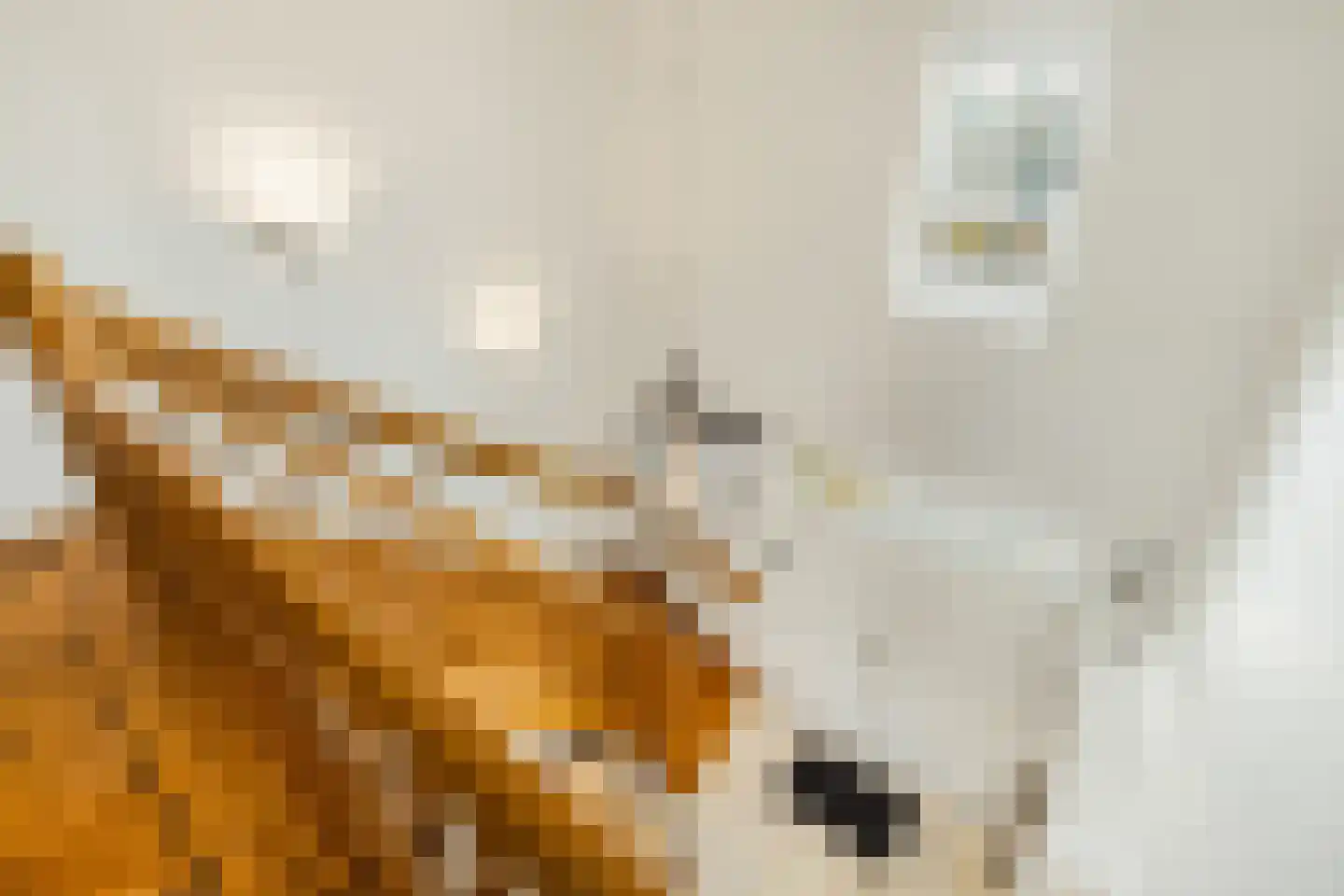 Langeweg 105 Sommelsdijk thumbnail 36