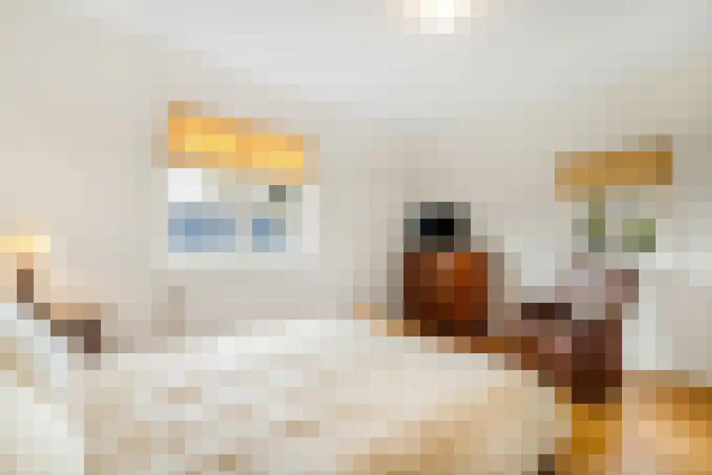 Langeweg 105 Sommelsdijk thumbnail 39