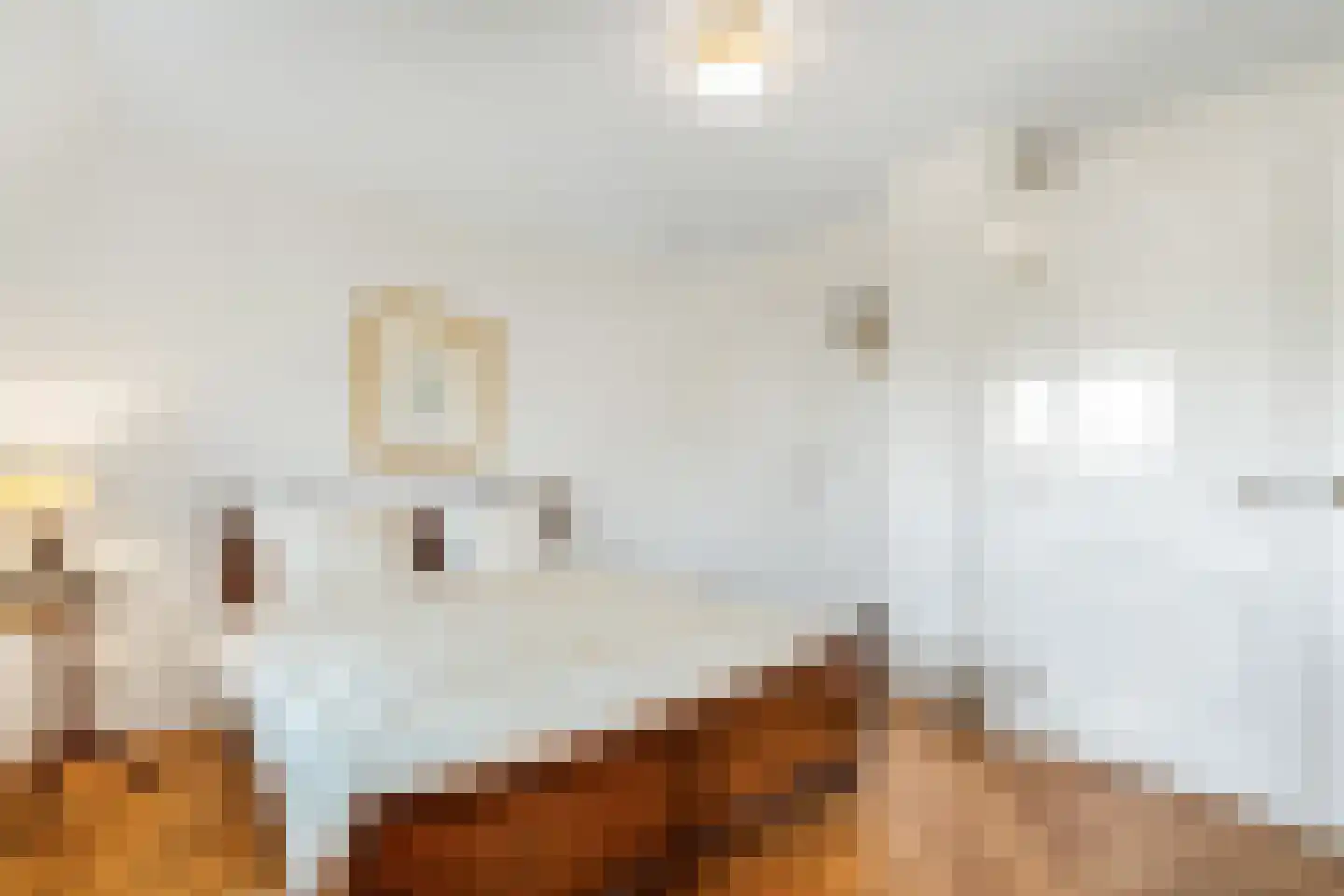 Langeweg 105 Sommelsdijk thumbnail 40