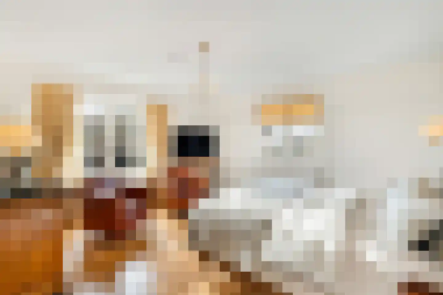 Langeweg 105 Sommelsdijk thumbnail 43