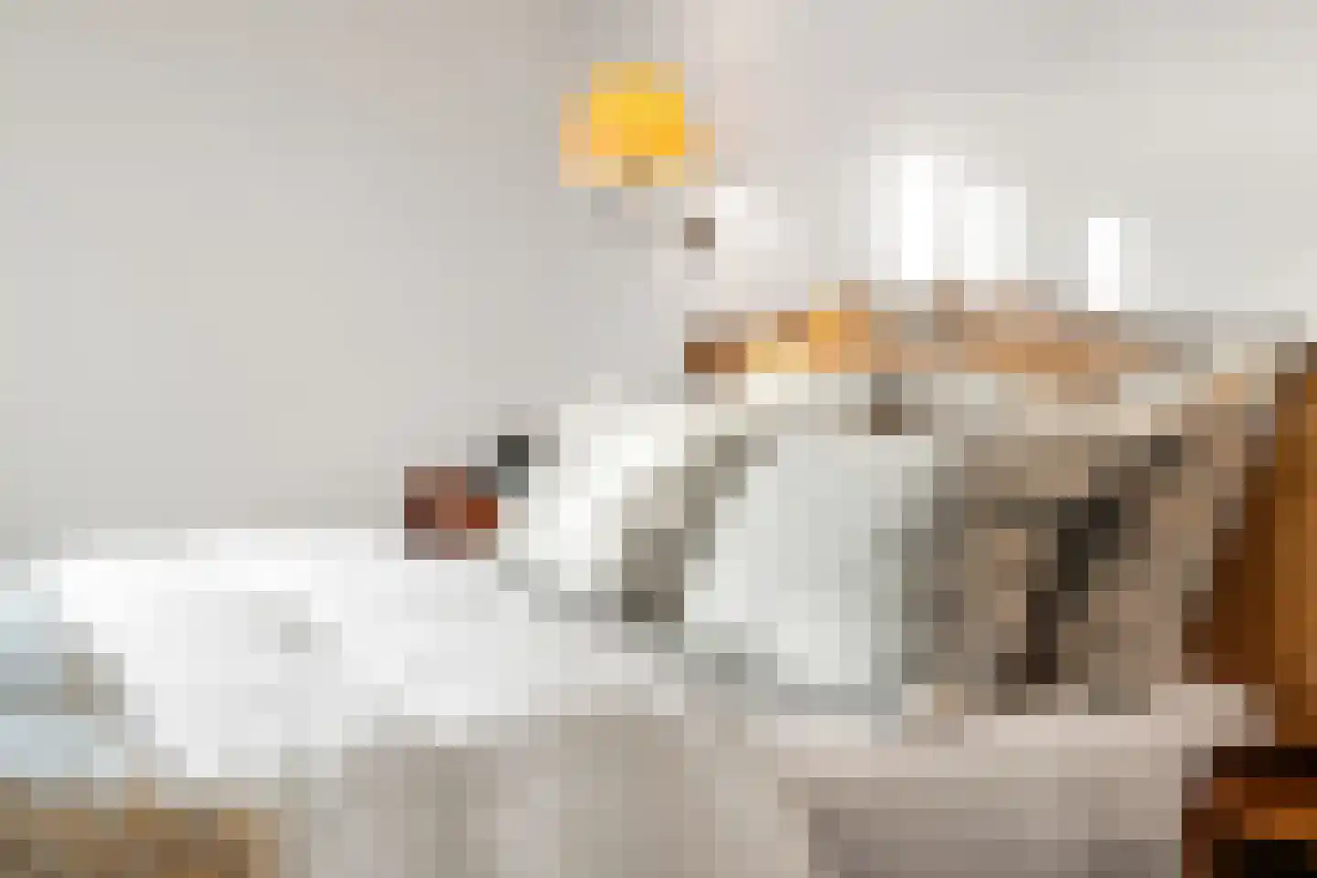 Langeweg 105 Sommelsdijk thumbnail 44