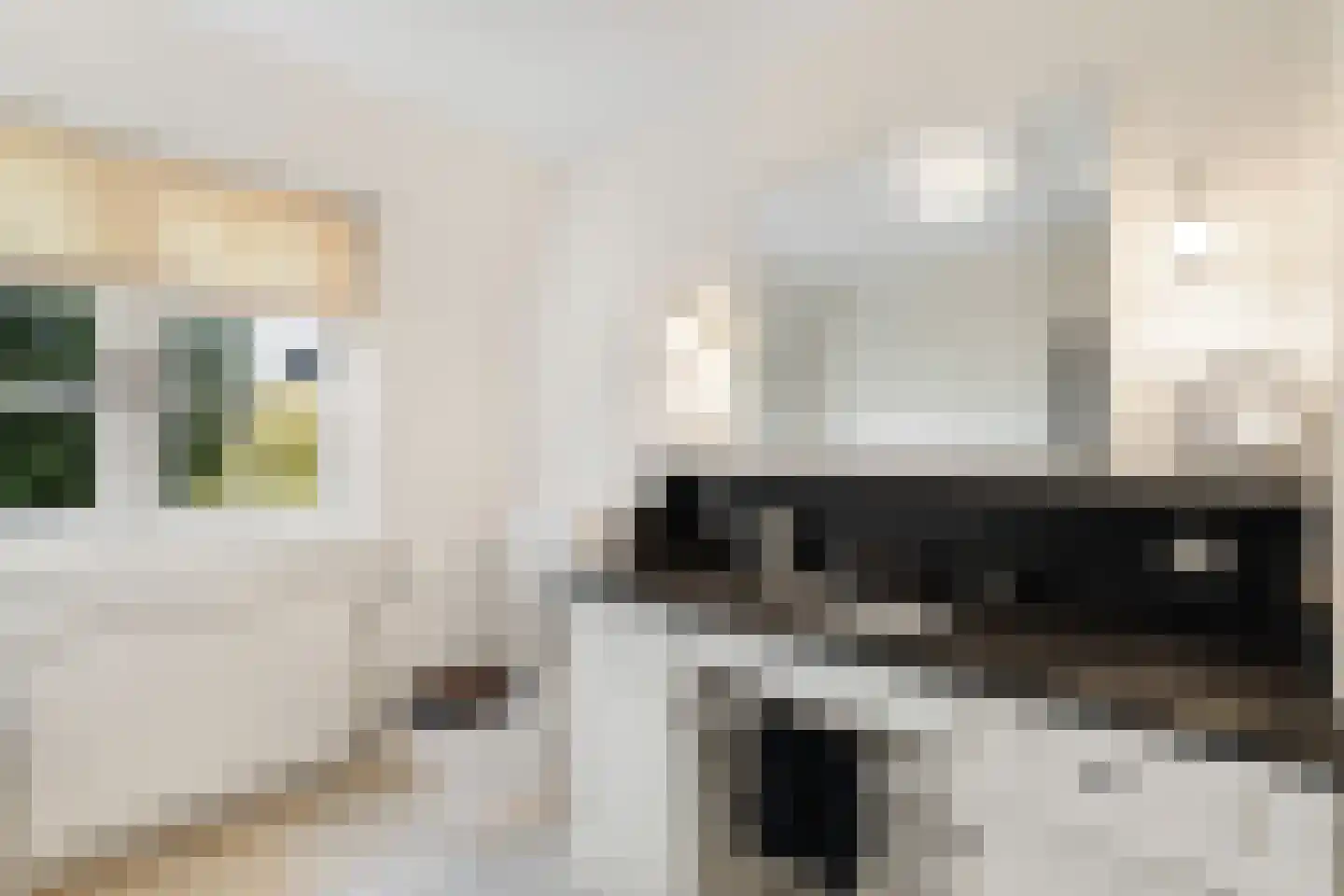 Langeweg 105 Sommelsdijk thumbnail 48