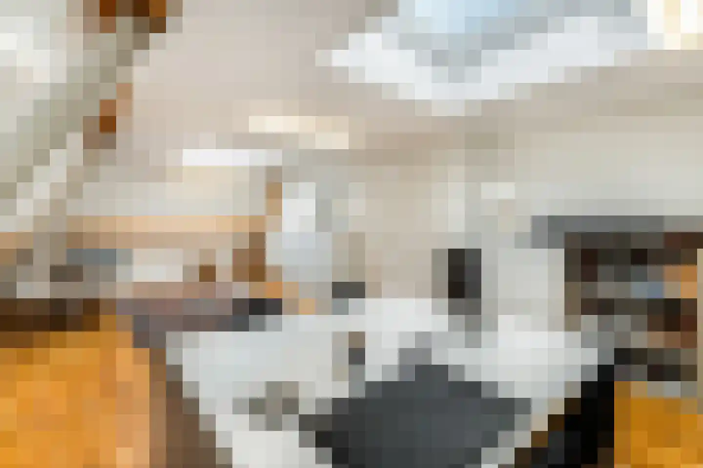 Langeweg 105 Sommelsdijk thumbnail 55