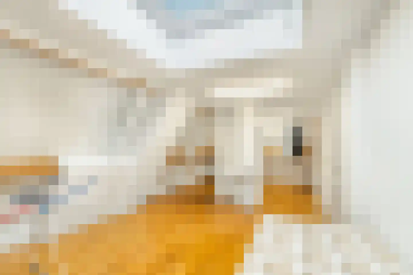 Langeweg 105 Sommelsdijk thumbnail 57