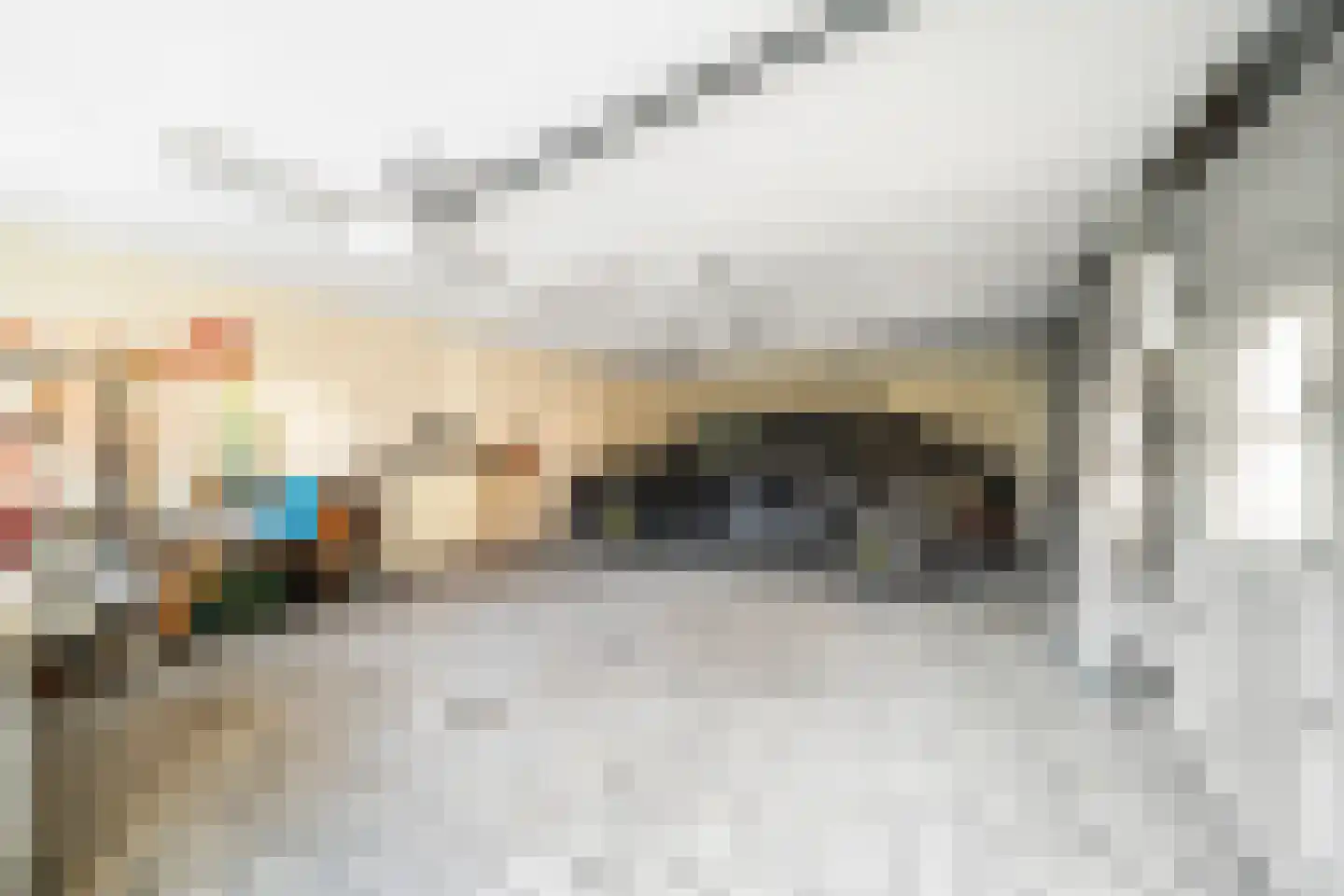 Langeweg 105 Sommelsdijk thumbnail 61
