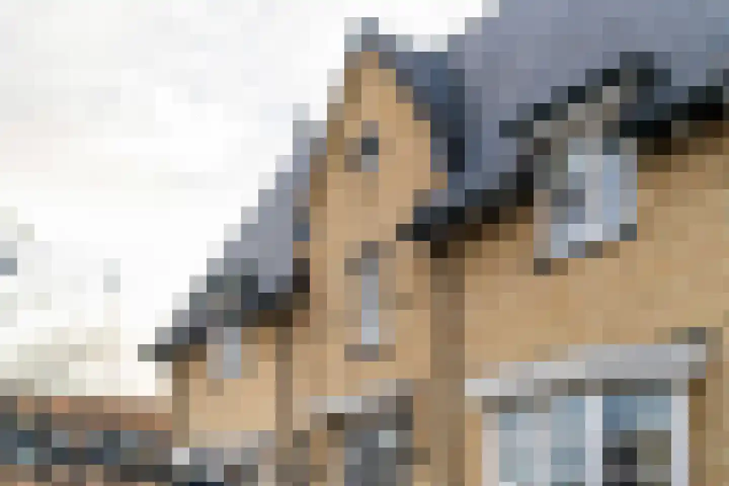 Langeweg 105 Sommelsdijk thumbnail 72