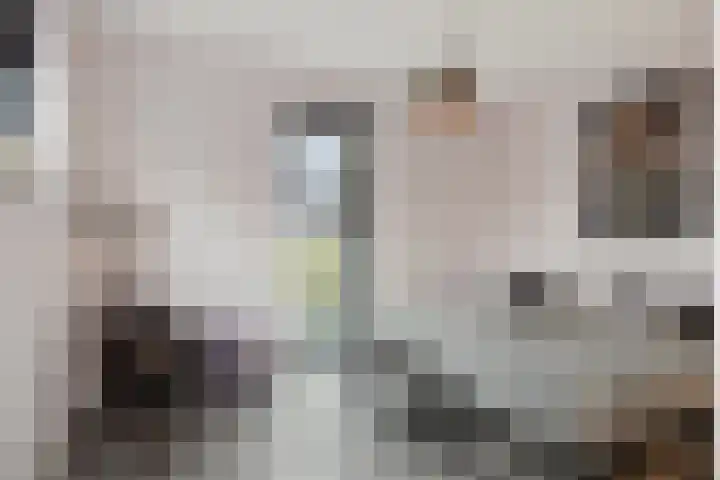 Langeweg 153 b Sommelsdijk thumbnail 26