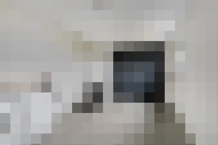 Langeweg 153 b Sommelsdijk thumbnail 32