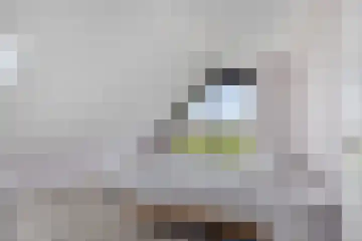 Langeweg 153 b Sommelsdijk thumbnail 33