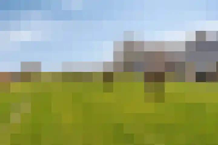 Langeweg 153 b Sommelsdijk thumbnail 5