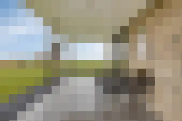 Langeweg 153 b Sommelsdijk thumbnail 52