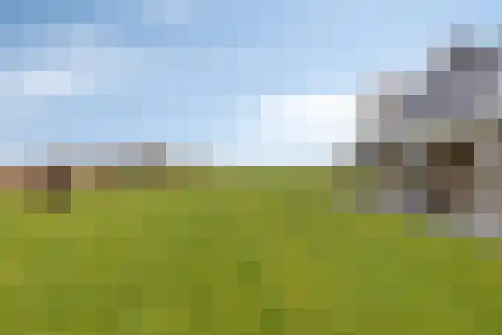 Langeweg 153 b Sommelsdijk thumbnail 53