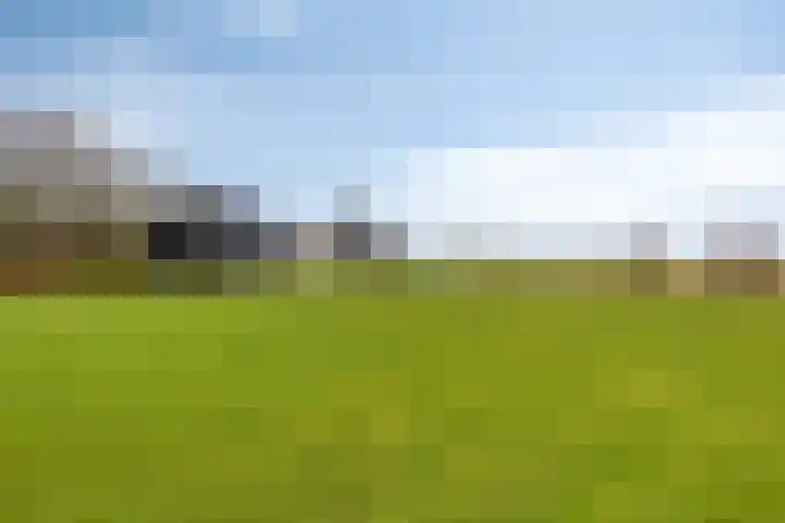 Langeweg 153 b Sommelsdijk thumbnail 55