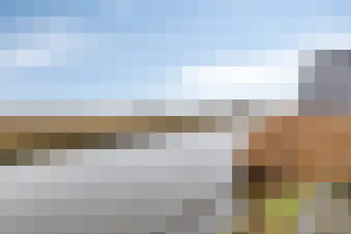 Langeweg 153 b Sommelsdijk thumbnail 57