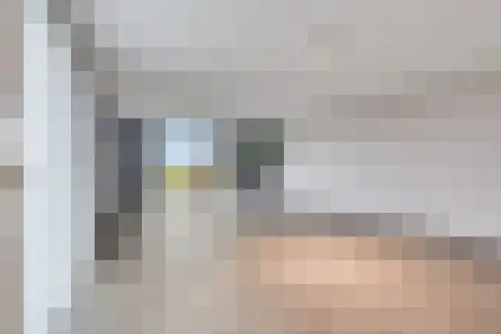 Langeweg 153 b Sommelsdijk thumbnail 61