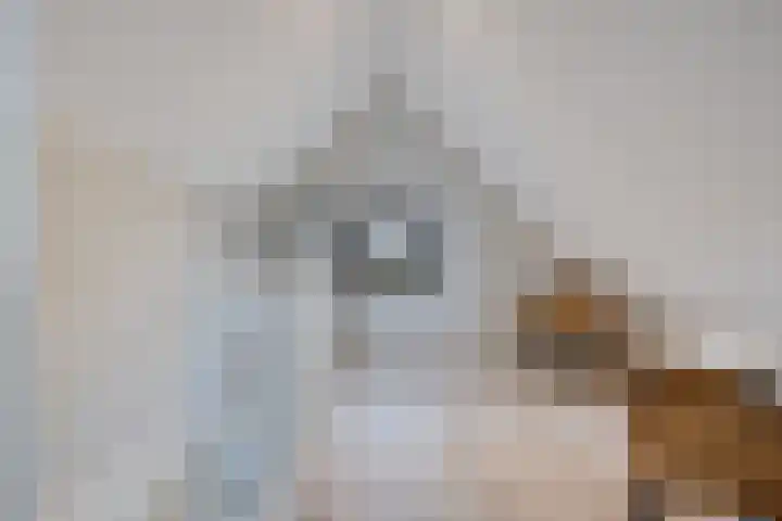 Langeweg 153 b Sommelsdijk thumbnail 65