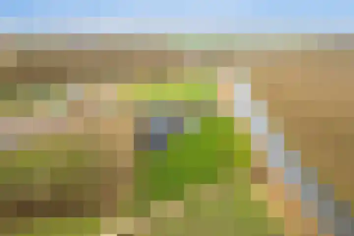 Langeweg 153 b Sommelsdijk thumbnail 77