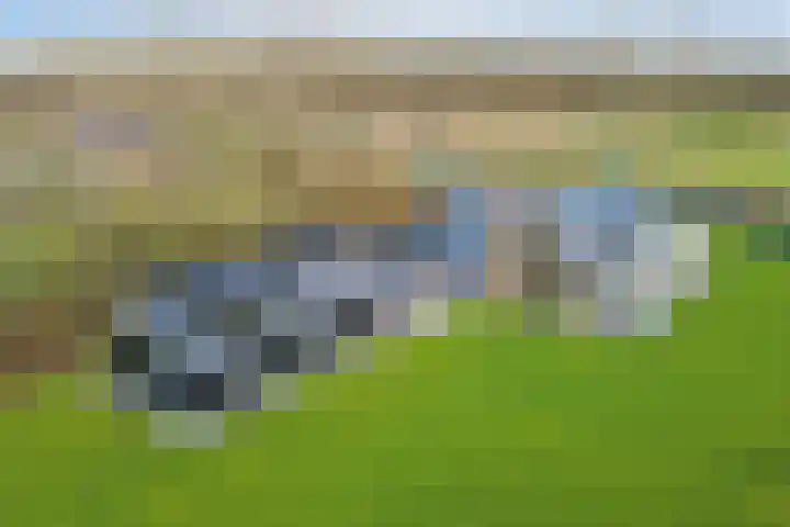 Langeweg 153 b Sommelsdijk thumbnail 78