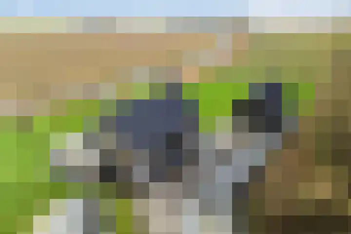 Langeweg 153 b Sommelsdijk thumbnail 79