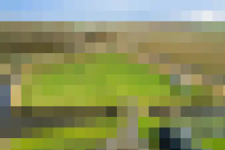 Langeweg 153 b Sommelsdijk thumbnail 80