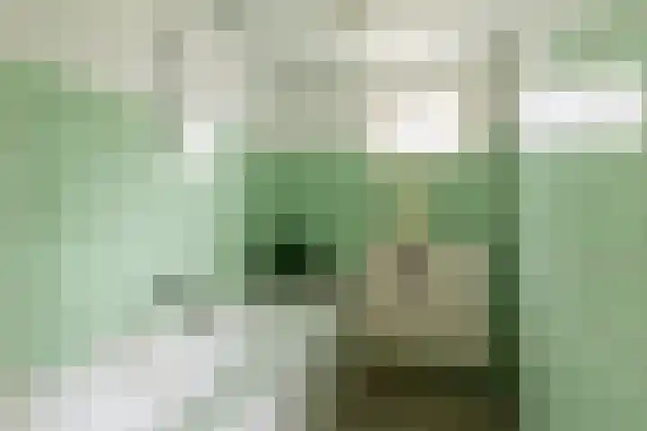 Langeweg 38 Haaren thumbnail 15